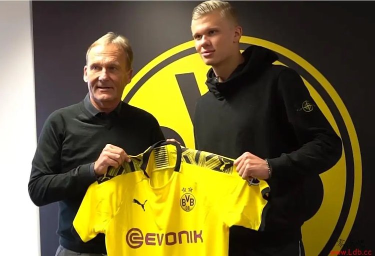 德转列多特历史最贵阵：哈兰德领衔，贝林、桑乔、罗伊斯上榜（德转盘点多特史上最贵阵容：哈兰德领衔，贝林厄姆、桑乔、罗伊斯入围）