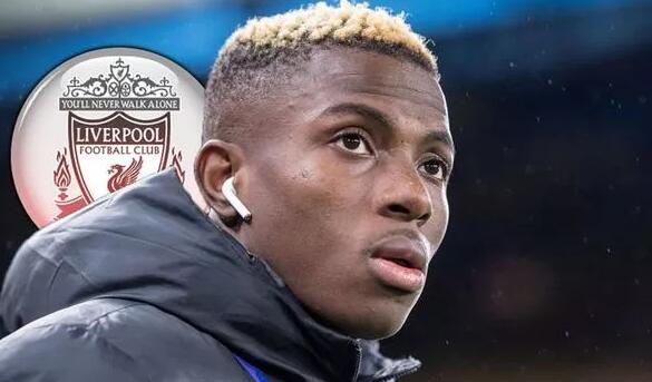 我又拥有新球衣啦！葡萄牙2026世界杯特别款球衣...（入手新战袍：葡萄牙2026世界杯特别版球衣）